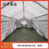 80sqm Frame Tent Inner Tent Kit