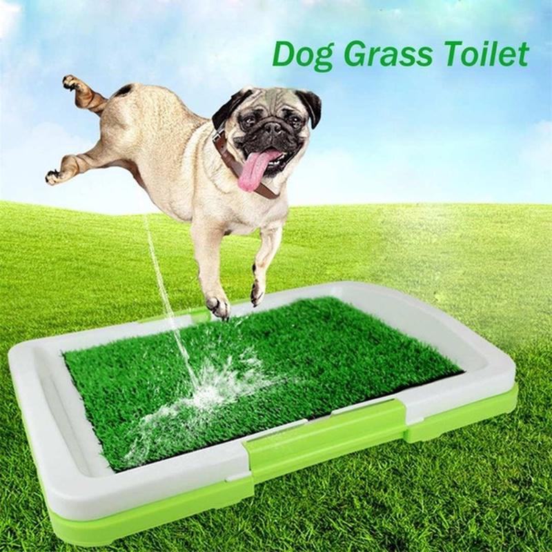 pet training grass