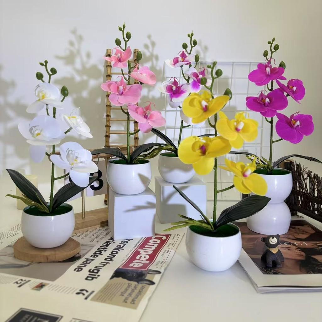 Phalaenopsis Basin Artificial Potted Plant For Home Office Decoration Wedding