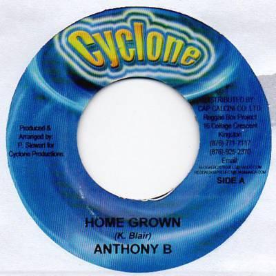 

7inch Record ANTHONY B - Home Grown NONE Cyclone Jamaica Reggae, Ska & Dub Used