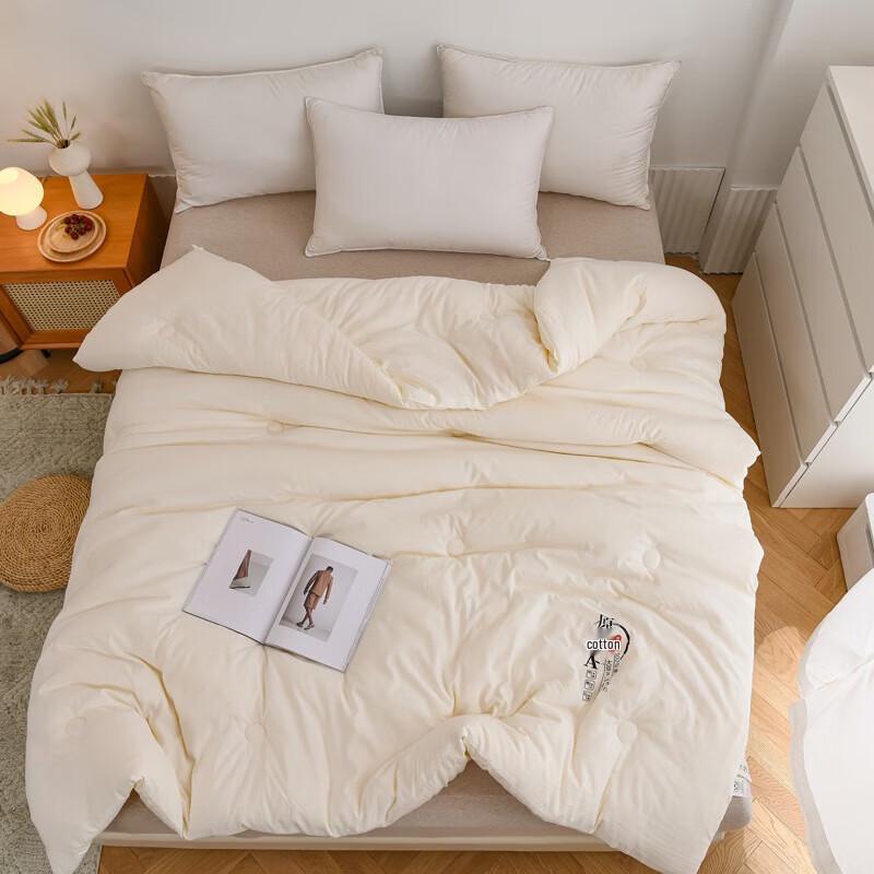 Bijiaman Four Seasons Comforter