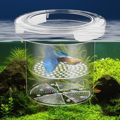 Plovoucí Izolační Box pro Chov Ryb Akvarijní Chovatel Krmítko Akvárium Líheň Inkubátor Akvárium Průhledný Inkubační Box