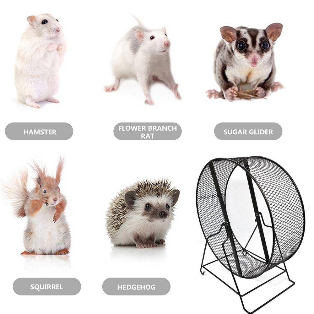 Durable Hamster Exercise Wheel Iron Small Animal Toy New Nail Grinding Wheel  Hamster Plaything