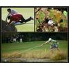 Extension-type Golf Ball Retriever Stainless Steel Shaft Telescopic Rod Golf Outdoor Sport Accessory Portable Pick Up Tool