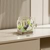 Ultra Clear Round Fish Bowl Plastic Removable Desktop Fish Tank Ultra Clear Viewing Tank Small Aquarium Tabletop Ornament