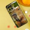 Étui Animal Capybara Pour Samsung Galaxy M15 M35 M55 M11 M14 M34 M54 M31 M13 M53 M51 M12 M32 M52 M16 M36 M56