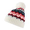 Beechfield Retro Skiing Beanie