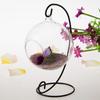 Portable Glass Ball Hanging Stand Retro Ecological Bottle Stand Flower Stand  Fish Tank