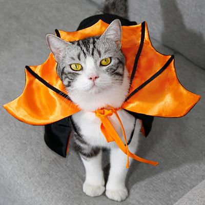 Coole Fledermaus-Verwandlung Halloween Haustierkostüm Stehkragen Bequemer Katzen-Cosplay-Umhang Schleife Einfach Anzuziehen Kätzchenkleid Party