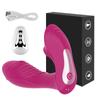Vagina Sucking Vibrator 10 Speed Vibrating Sucker Anal Vagina Clitoris Stimulator Nipple Massager Sex Toy for Woman Masturbation