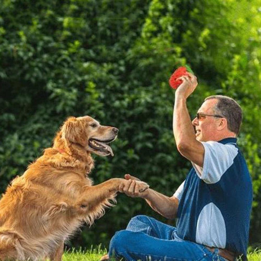 Strawberry Shaped Dog Chew Tooth Cleaning Interactive Dog Food Leaking Ball Bite Resistant Rubber Dog Grinding Teeth