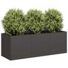 Planter, Black, 120X40X40 Cm, Cold Rolled Steel
