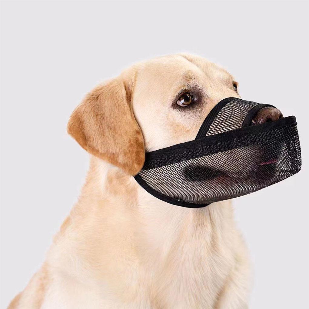 Anti Bite Mesh Dog Mouthpiece Mask For Dogs Going Out And Taking Bath Anti Stripping Dog Mask