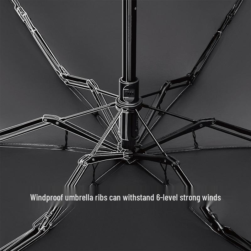 Beneunder Summer Essentials Gift Set