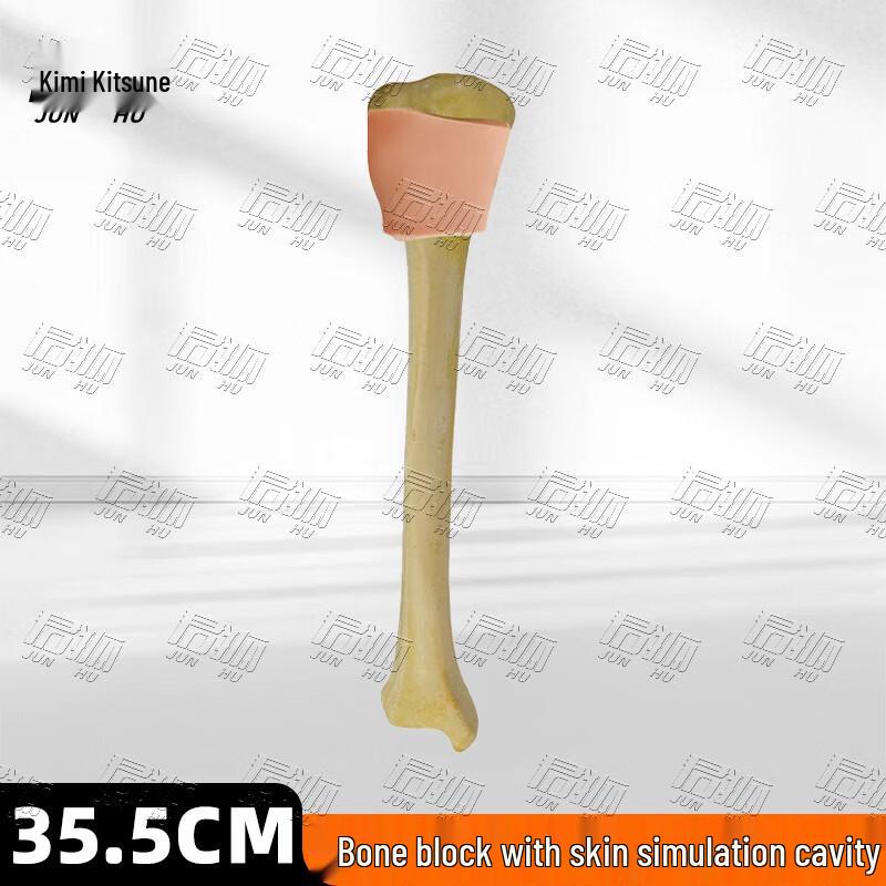 Junhu Bone Marrow Puncture Infusion Training System