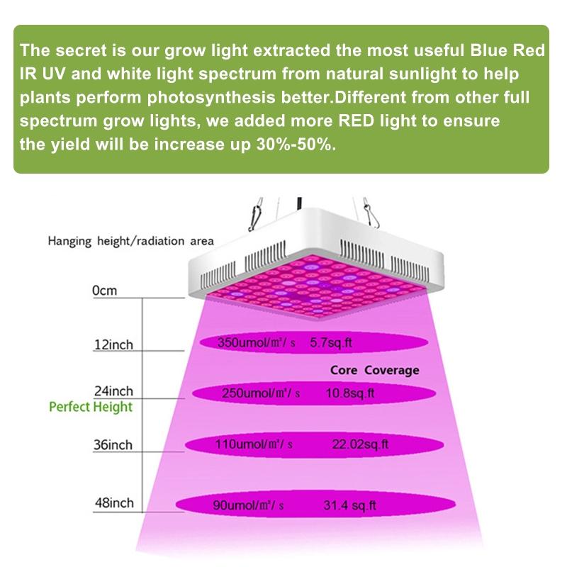 2000W Growing Lamps LED Grow Light Full Spectrum for Greenhouse Indoor Hydroponic Plant Seedling Flower High Yield