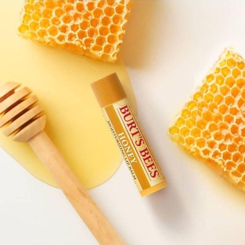 BURT’S BEES Honey Lip Balm FREE