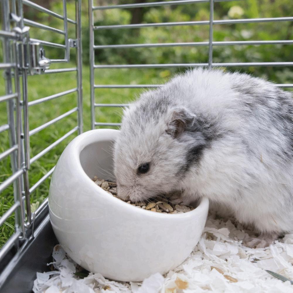 Cute Ceramic Hamster Food Bowl Anti-Rollover Slanted-edged Pet Feeding Bowl Non-Slip Anti-Spill Water Food Bowl Cage Accessory