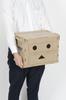 TRUSCO Danbo Thin Foldable with Lid and No Storage Container, 20L, Lock, TR-SC20-A-DNB, Case/Box
