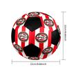 SIZE 5 PSV Eindhoven Soccer Ball Colorful All Ages Machine Stitched PVC Competition Ready Durable High-Bounce