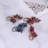 SKEDS New Arrival Women Men Luxury Shiny Crystal Badges Pins Exquisite Casual Clothing Coat Unisex Boutique Brooches Accessories