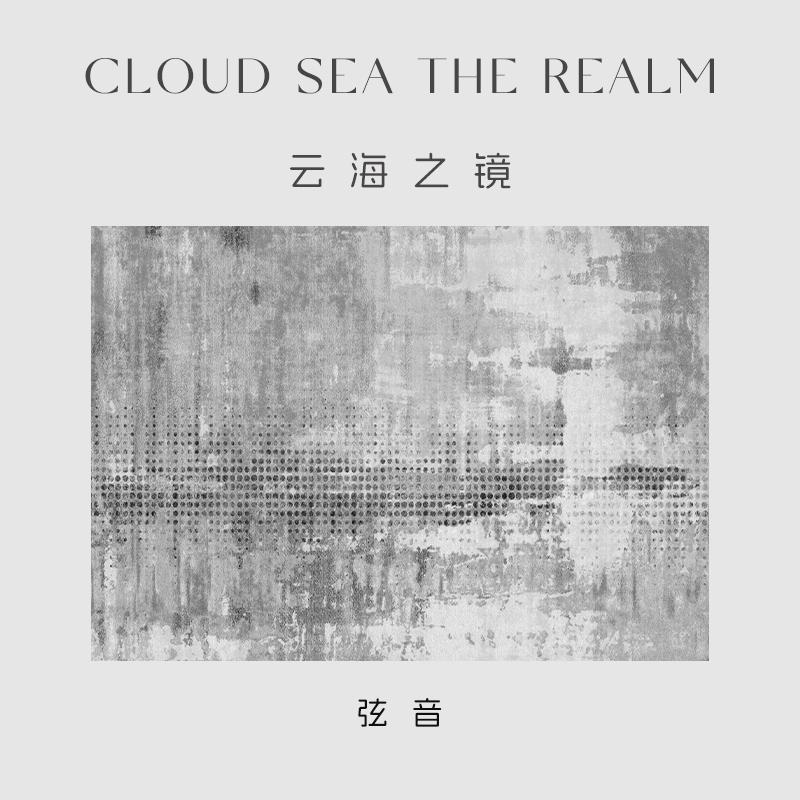 Nordic Style Carpets for Living Room Light Luxury Bedroom Decor Plush Carpet Fluffy Soft Cloakroom Rug Washable Thick Floor Mat