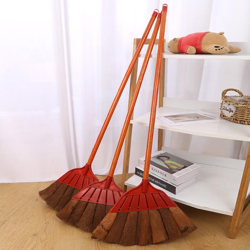 Palm Fiber Broom