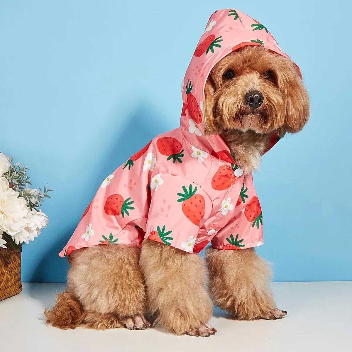 

Rainy Day Must-have Stylish Strawberry Dog Raincoat for Your Stylish Furry Friend Dog Outfit Dog Raincoat XS красный