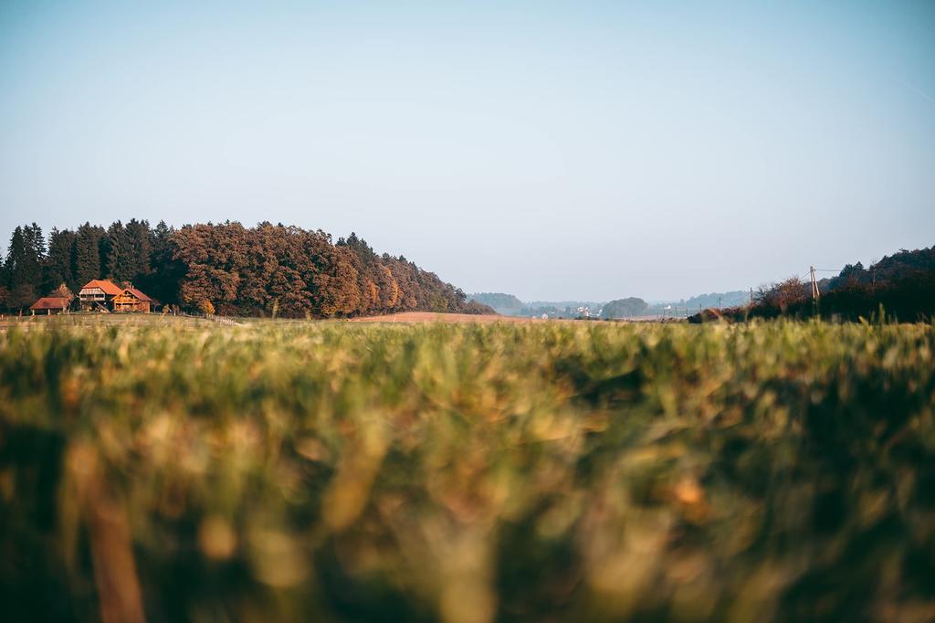 Tokina Single Focus Lens 23mm AF E Sony E Mount Format 641095 [Re-imported Model] Wide-angle ATX-M F1.4 A+ APS-C