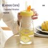 OLOEY Glass Straw Water Bottle with Handle and Lid