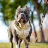 Robuste, solide Musterung, personalisiertes Haustierleinen- und Halsband-Set mit Bändern, reiner 304 Edelstahl, 1,2 kg für Hunde