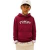 Tommy Hilfiger Childrens/Kids Logo Hooded Drawstring Hoodie
