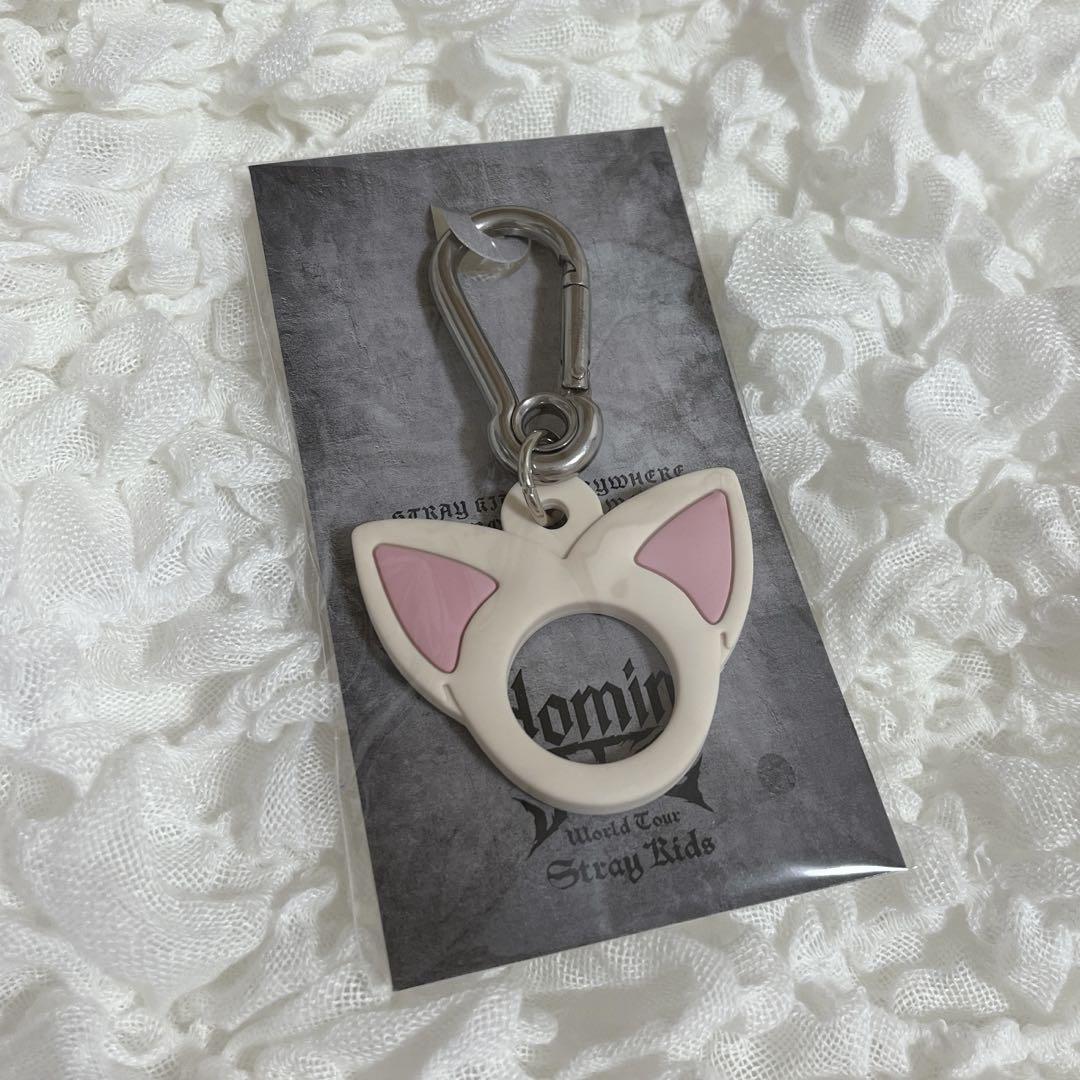 

[USED] Stray Kids dominATE Plastic Bottle Holder (Ien)