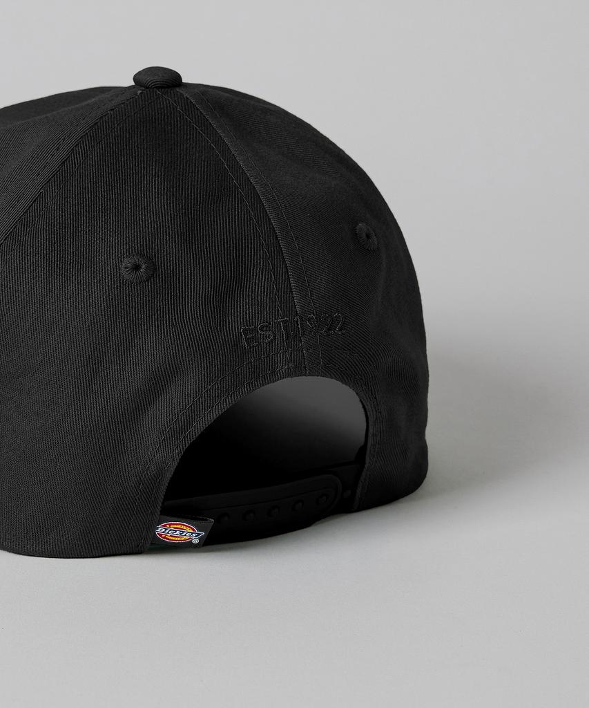 DICKIES Hardwick Ball Cap Black