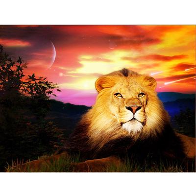 5D fai da te diamante ricamo leone diamante pittura punto croce animali pittura decorazioni per la casa