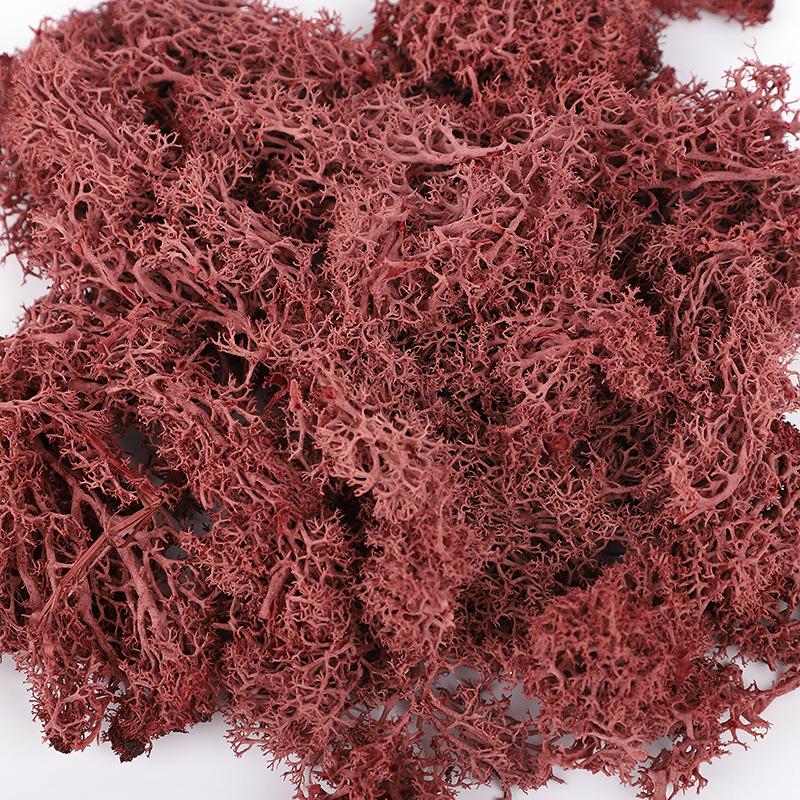 20/40/100g Artificial Green Plants Eternal Life Moss Grass DIY Crafts for Home Garden Room Decoration Mini Landscape Fake Flower