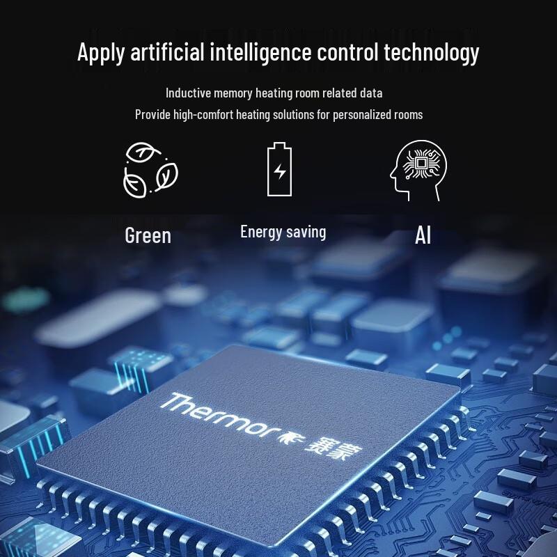 Thermor Ev3 Series Wall-Mounted Convection Heater