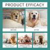 100ml Pet Bitter Taste  Spray - No Chew Deterrent For Dogs & Cats, Safe  To Stop Scratching, Biting & Licking, Indoor Use For Furniture & Wounds