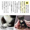 Imabari Certified Pet Towel Slim Bath Towels for Cats and Made In BMP 34 X 100cm 3 Slim Bath Dogs, KURASHITO, 3-Piece Set, Japan, 100% Cotton, Cotton,