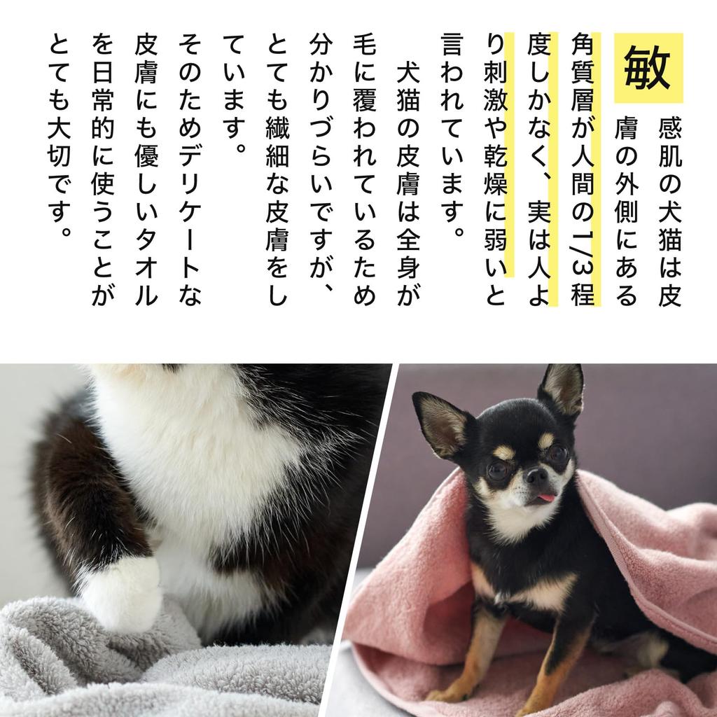 Imabari Certified Pet Towel Slim Bath Towels for Cats and Made In BMP 34 X 100cm 3 Slim Bath Dogs, KURASHITO, 3-Piece Set, Japan, 100% Cotton, Cotton,