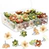 20pcs Floral Pushpins - Decorative Resin Flower Thumbtacks For Photo Walls & Office Supplies