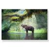 Jungle Landscape Canvas Poster Animal Leopard Elephant Print Painting Palm Leaves Forest River Bridge Nordic Picture Decoration
