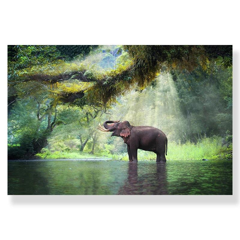 Jungle Landscape Canvas Poster Animal Leopard Elephant Print Painting Palm Leaves Forest River Bridge Nordic Picture Decoration