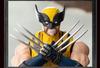 BLOKEES Doyusha Marvel Champion Class Series Wolverine Plastic Model, Approximately 134mm Tall