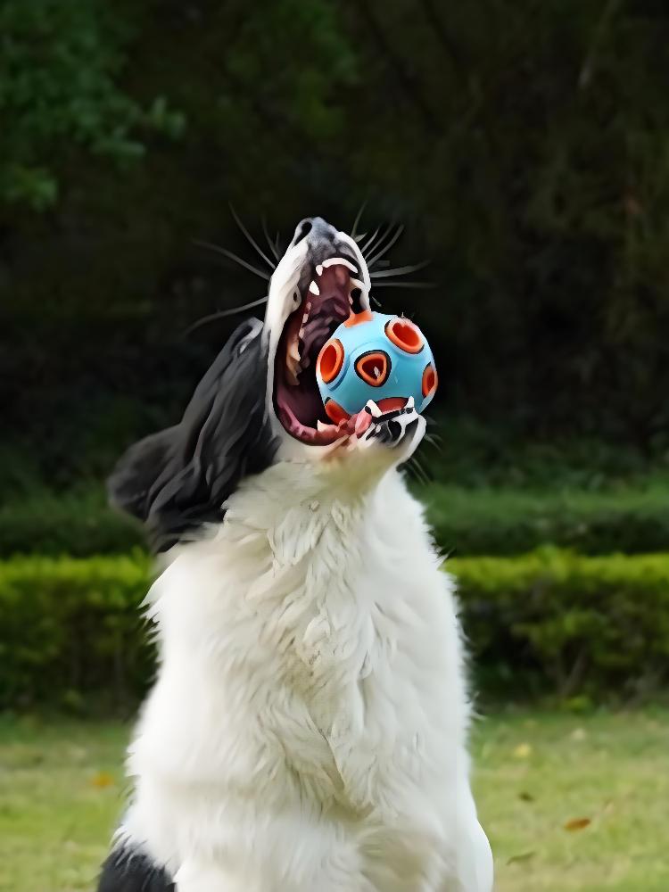 Double-layer dog toy ball, natural rubber, self-cleaning teeth, molar teeth, leaking toy ball