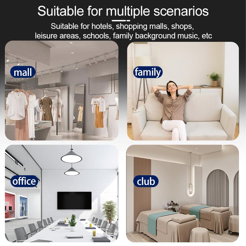Mini Bluetooth Ceiling Speaker Home Speakers Ceiling Audio Speakers for Ceilings Speaker Systems with High Good Quality Sound