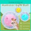 Buntes Hamster Fitnessspielzeug Transparente Plastik Nagerkugel zum Laufen und Trainieren