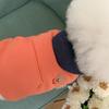Pet Sweatshirt Autumn Autumn Dog Clothes Teddy Bichon Poodle Pomeranian Small Dog Yorkshire Maltese