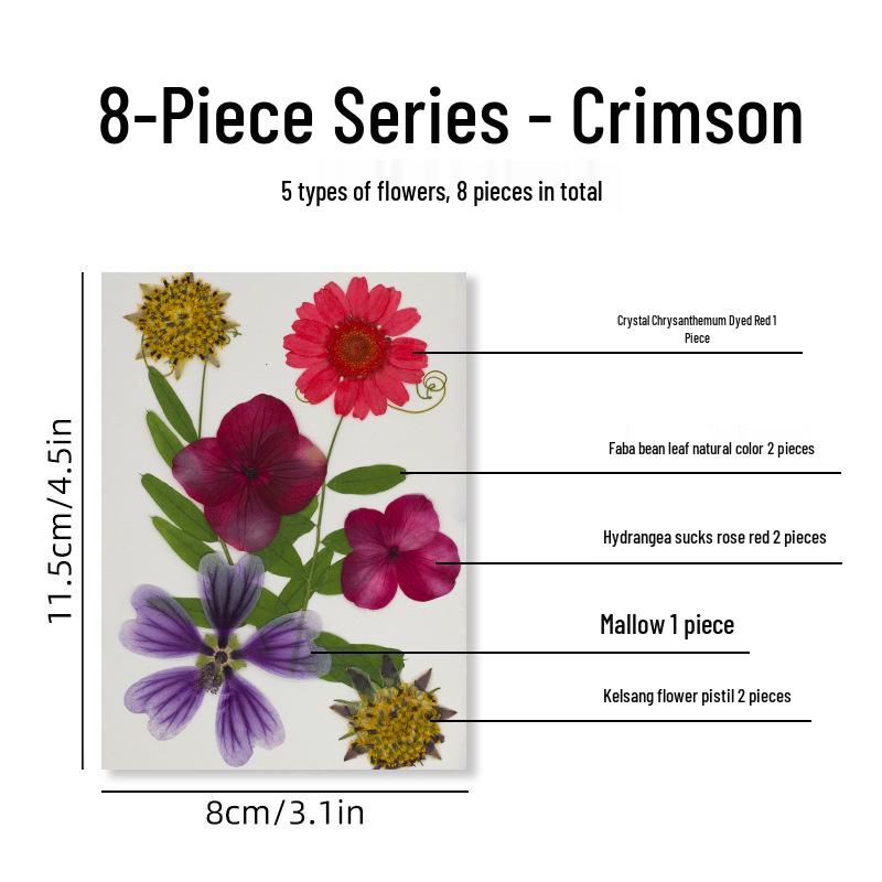 DIY Dried Flower Specimen Sticker Set for Kids: Handmade Pressed Flower Frames & Resin Bookmark Craft Kit