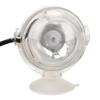 LED Aquarium Licht Multifunktion 1W Niederspannung Mini Aquarium Lampe für Süß- Salzwasserbecken